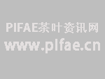 202万的太上皇茶树横空出世